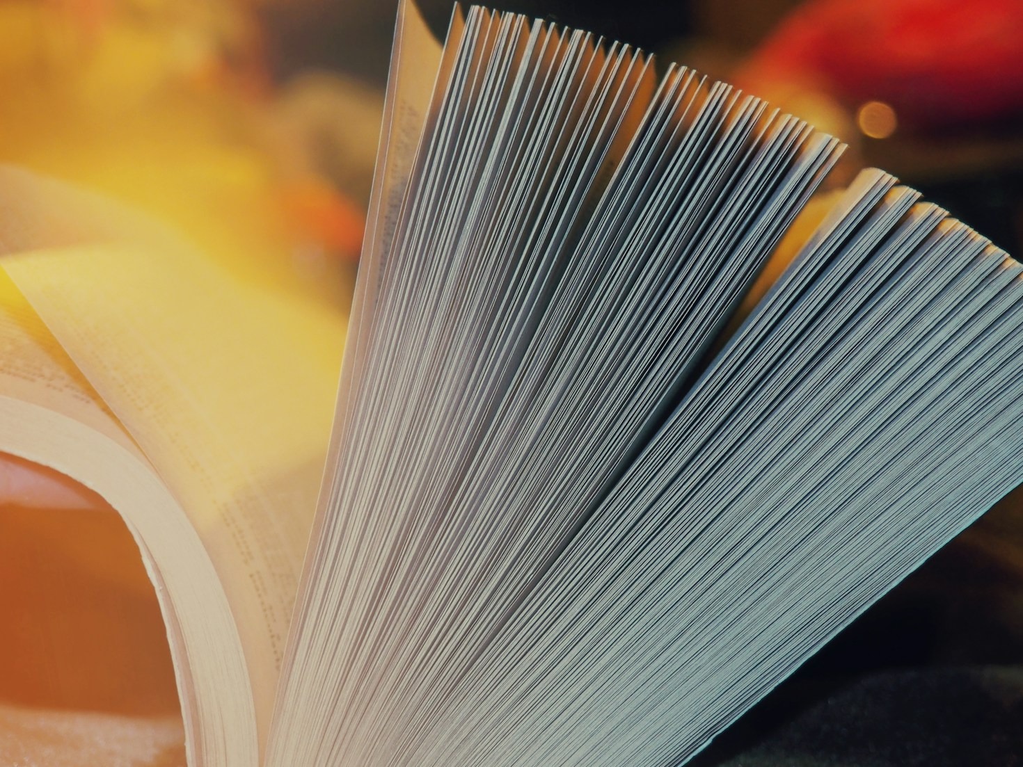 The Journey of a Manuscript to Publication